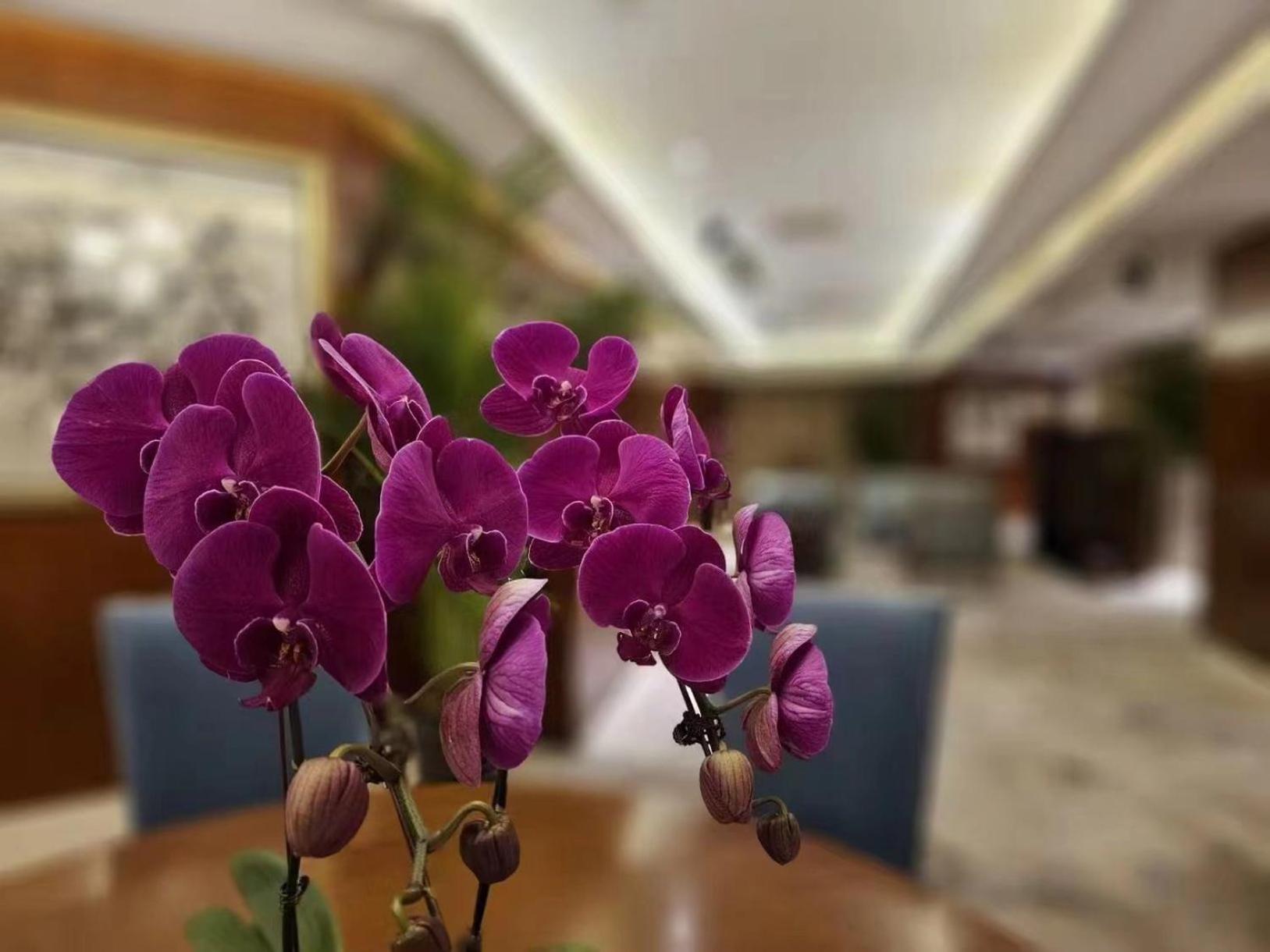 รีเจนท์ปักกิ่ง Hotel ภายนอก รูปภาพ